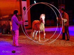 Circus YAKARI Show am 04.10.2024